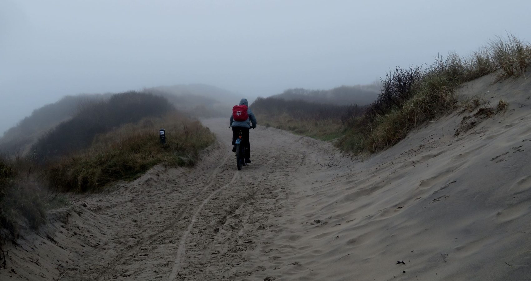 Januar: Durch die Dünen in Holland